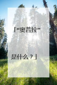 “奥普拉”是什么?