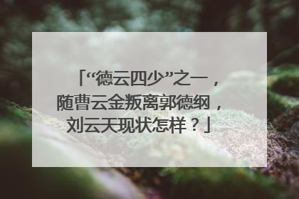 “德云四少”之一,随曹云金叛离郭德纲,刘云天现状怎样?