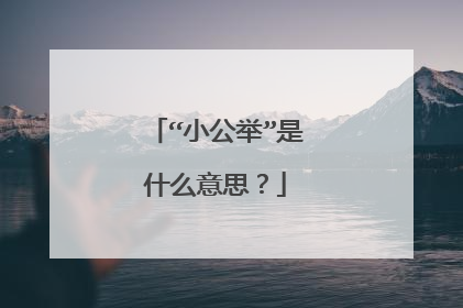 “小公举”是什么意思?