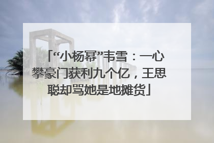 “小杨幂”韦雪:一心攀豪门获利九个亿,王思聪却骂她是地摊货