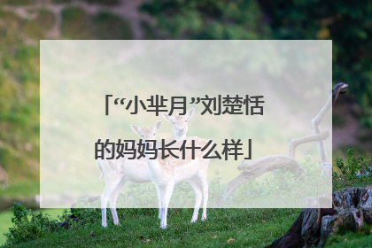 “小芈月”刘楚恬的妈妈长什么样