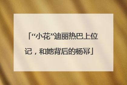 “小花”迪丽热巴上位记，和她背后的杨幂