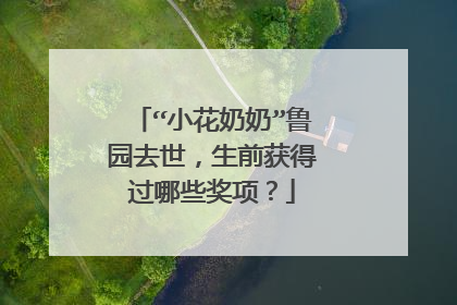 “小花奶奶”鲁园去世，生前获得过哪些奖项？