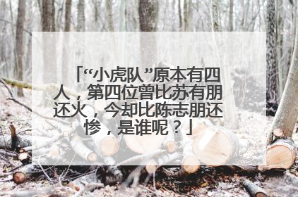 “小虎队”原本有四人,第四位曾比苏有朋还火,今却比陈志朋还惨,是谁呢?