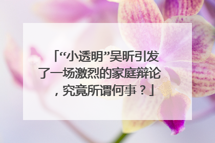 “小透明”吴昕引发了一场激烈的家庭辩论,究竟所谓何事?