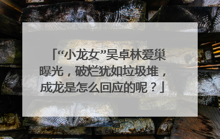 “小龙女”吴卓林爱巢曝光，破烂犹如垃圾堆，成龙是怎么回应的呢？
