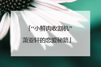 “小鲜肉收割机”萧亚轩的恋爱秘籍