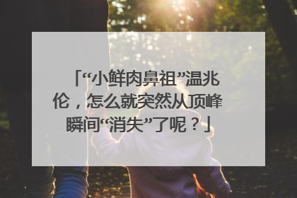 “小鲜肉鼻祖”温兆伦，怎么就突然从顶峰瞬间“消失”了呢？