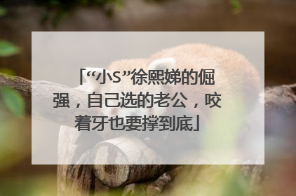 “小S”徐熙娣的倔强,自己选的老公,咬着牙也要撑到底