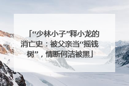 “少林小子”释小龙的消亡史：被父亲当“摇钱树”，情断何洁被黑