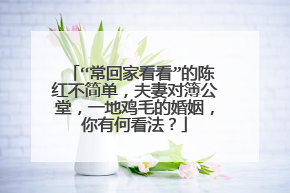 “常回家看看”的陈红不简单，夫妻对簿公堂，一地鸡毛的婚姻，你有何看法？