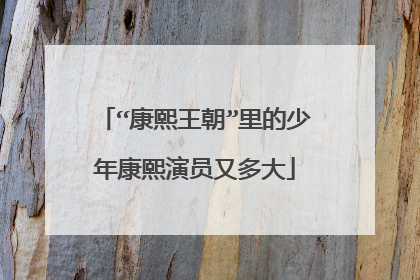 “康熙王朝”里的少年康熙演员又多大