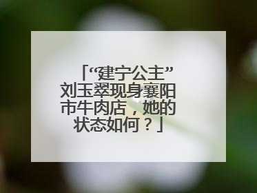 “建宁公主”刘玉翠现身襄阳市牛肉店，她的状态如何？
