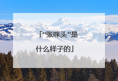 “张咪头”是什么样子的