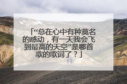 “总在心中有种莫名的感动，有一天我会飞到最高的天空”是哪首歌的歌词了？
