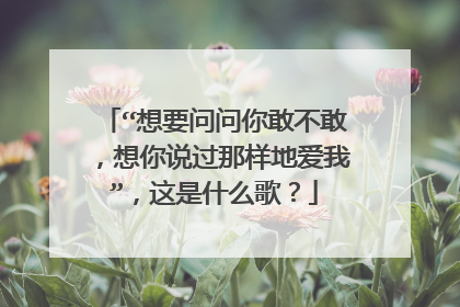 “想要问问你敢不敢，想你说过那样地爱我”，这是什么歌？