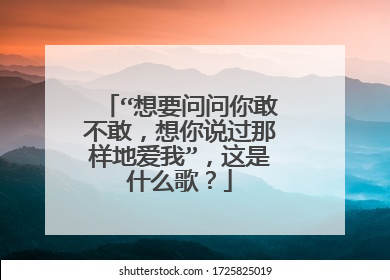 “想要问问你敢不敢,想你说过那样地爱我”,这是什么歌?