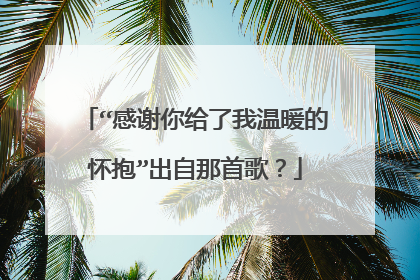 “感谢你给了我温暖的怀抱”出自那首歌？