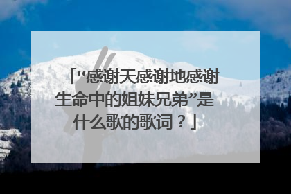 “感谢天感谢地感谢生命中的姐妹兄弟”是什么歌的歌词？
