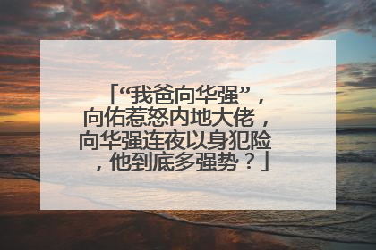 “我爸向华强”，向佑惹怒内地大佬，向华强连夜以身犯险，他到底多强势？