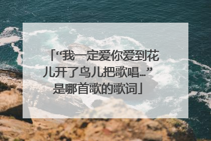 “我一定爱你爱到花儿开了鸟儿把歌唱…”是哪首歌的歌词