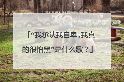 “我承认我自卑,我真的很怕黑”是什么歌？