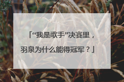 “我是歌手”决赛里，羽泉为什么能得冠军？