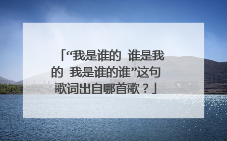 “我是谁的 谁是我的 我是谁的谁”这句歌词出自哪首歌？