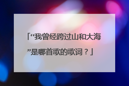 “我曾经跨过山和大海”是哪首歌的歌词？