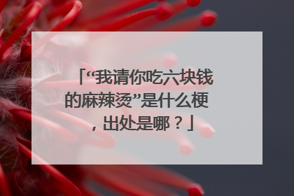 “我请你吃六块钱的麻辣烫”是什么梗,出处是哪?