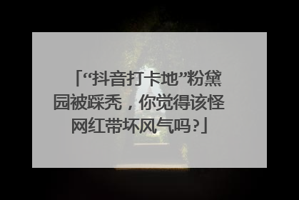 “抖音打卡地”粉黛园被踩秃，你觉得该怪网红带坏风气吗?