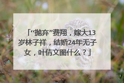 “抛弃”费翔,嫁大13岁林子祥,结婚24年无子女,叶倩文图什么?