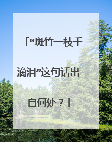 “斑竹一枝千滴泪”这句话出自何处?