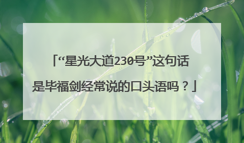 “星光大道230号”这句话是毕福剑经常说的口头语吗？