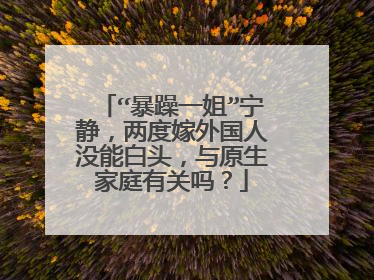 “暴躁一姐”宁静,两度嫁外国人没能白头,与原生家庭有关吗?