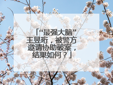 “最强大脑”王昱珩，被警方邀请协助破案，结果如何？