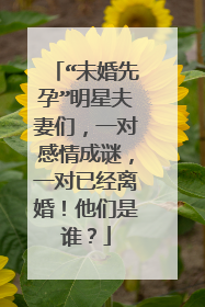 “未婚先孕”明星夫妻们，一对感情成谜，一对已经离婚！他们是谁？