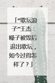 “歌坛浪子”王杰：嗓子被毁后退出歌坛，如今过得怎样了？