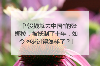 “没钱就去中国”的张娜拉，被抵制了十年，如今39岁过得怎样了？