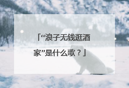 “浪子无钱逛酒家”是什么歌？