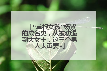 “草根女孩”杨紫的成名史,从被劝退到大女主,这三个男人太重要-