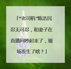 “老司机”陈浩民忍无可忍,和妻子在直播间吵起来了,现场发生了啥?