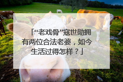 “老戏骨”寇世勋拥有两位合法老婆,如今生活过得怎样?