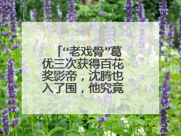 “老戏骨”葛优三次获得百花奖影帝，沈腾也入了围，他究竟得了多少票？