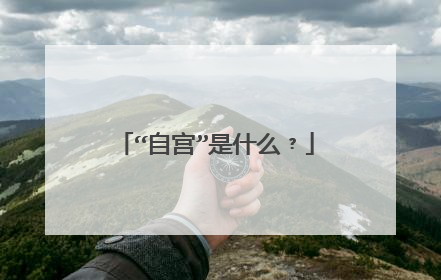 “自宫”是什么﹖