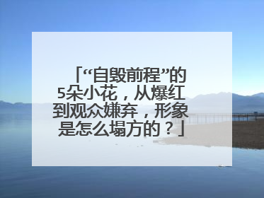 “自毁前程”的5朵小花,从爆红到观众嫌弃,形象是怎么塌方的?