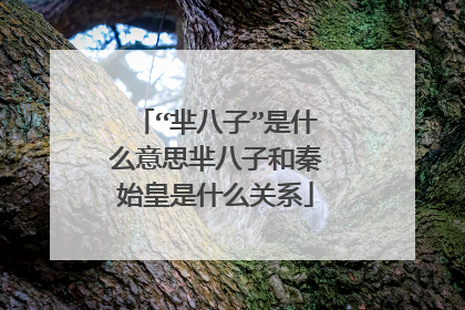 “芈八子”是什么意思芈八子和秦始皇是什么关系