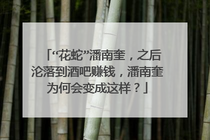 “花蛇”潘南奎,之后沦落到酒吧赚钱,潘南奎为何会变成这样?