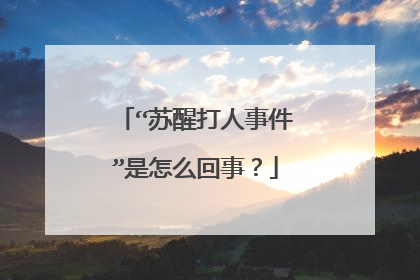 “苏醒打人事件”是怎么回事?