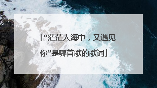 “茫茫人海中，又遇见你”是哪首歌的歌词